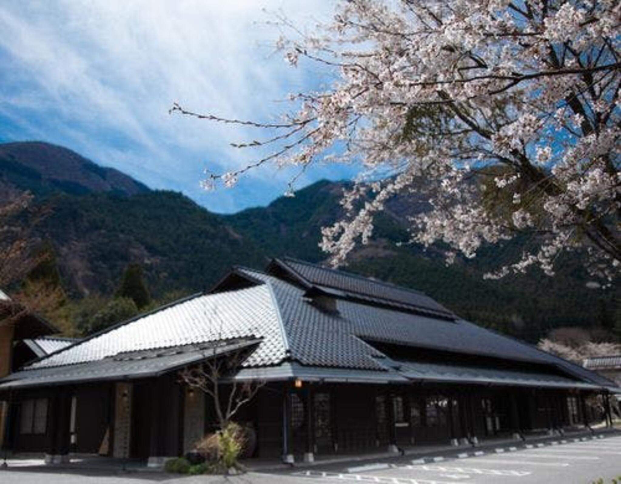 由布院 梅園 GARDEN RESORTの代表写真3