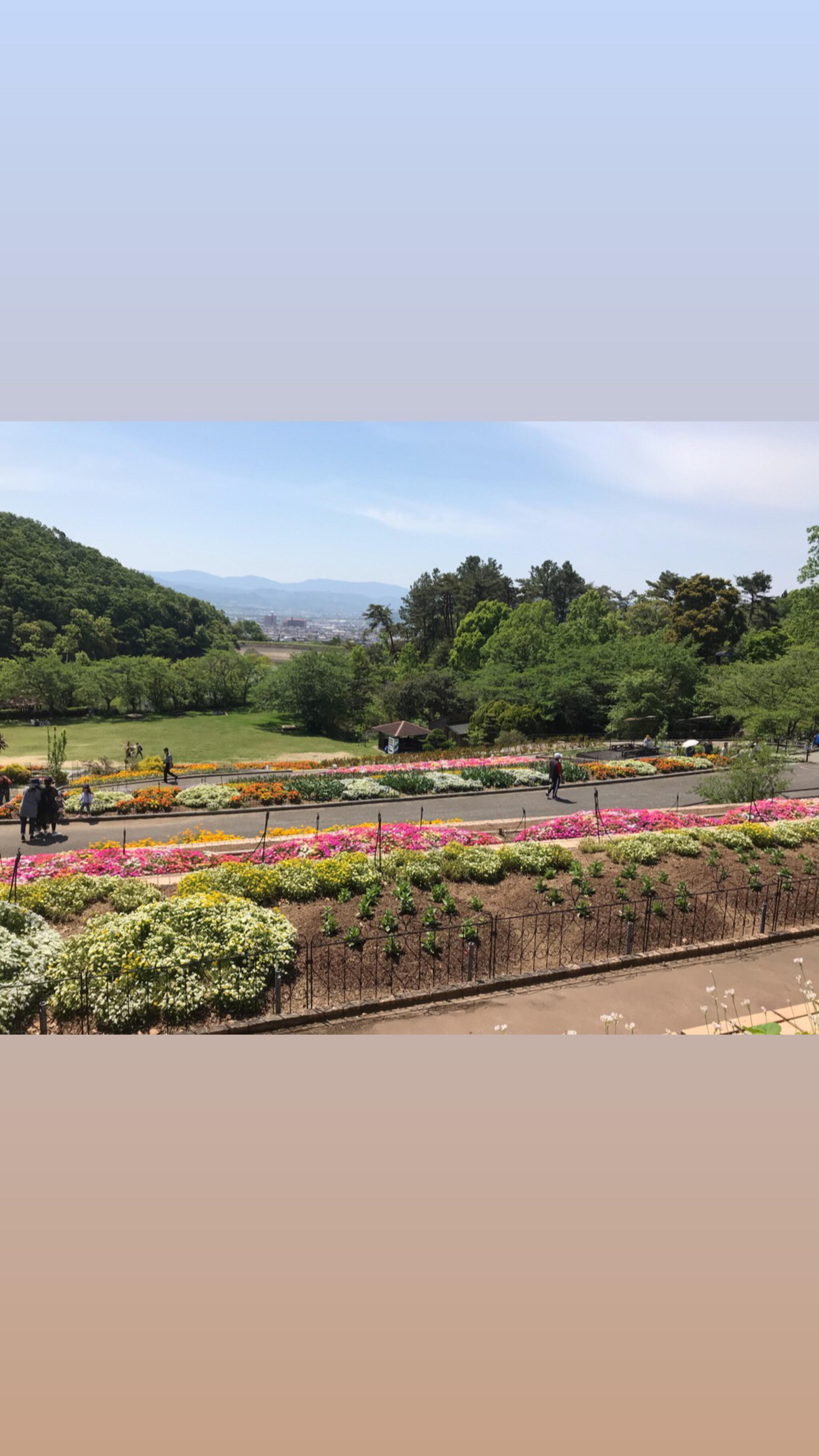 和歌山県植物公園緑花センターの代表写真9