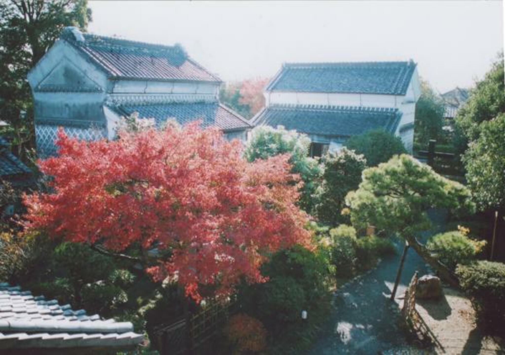 江戸の文化村 花咲乃庄の代表写真2