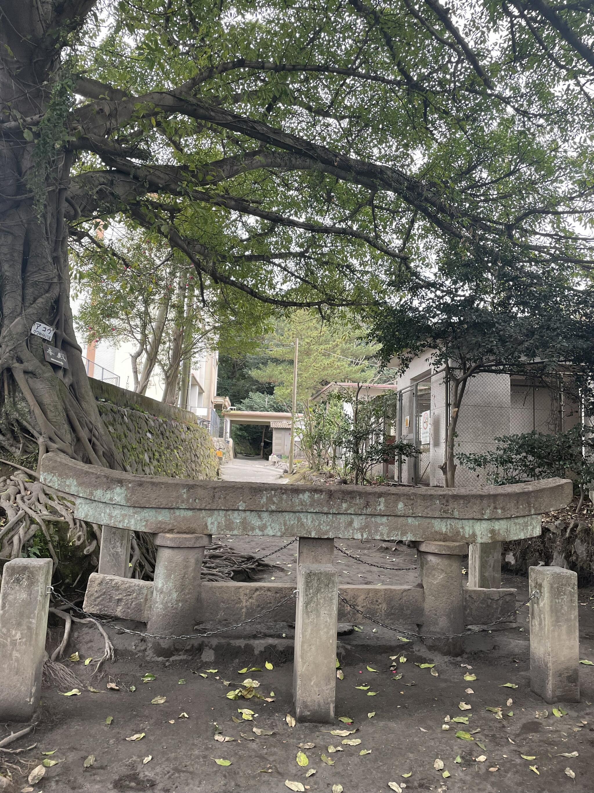 黒神埋没鳥居の代表写真6