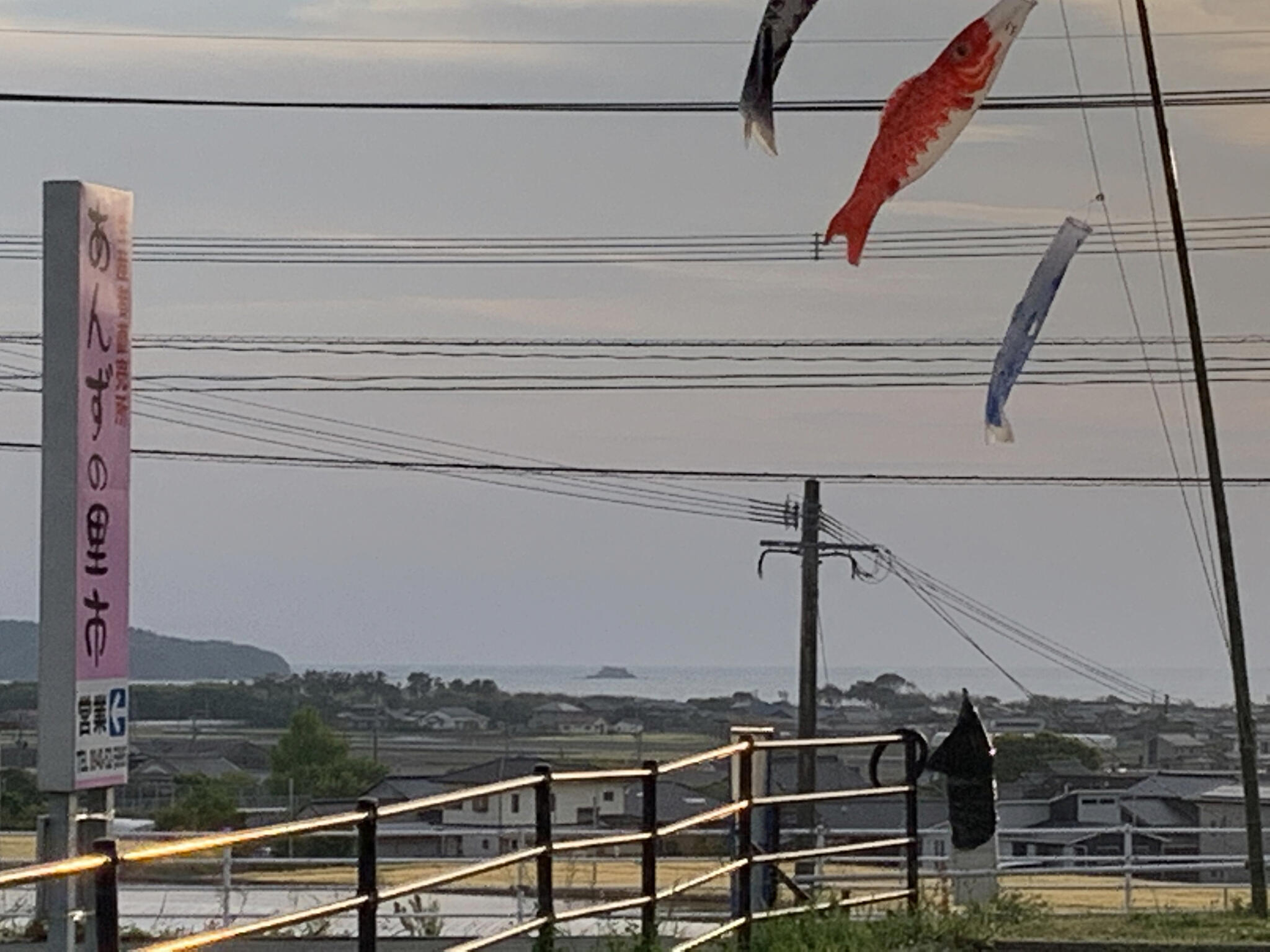 あんずの里・運動公園の代表写真7