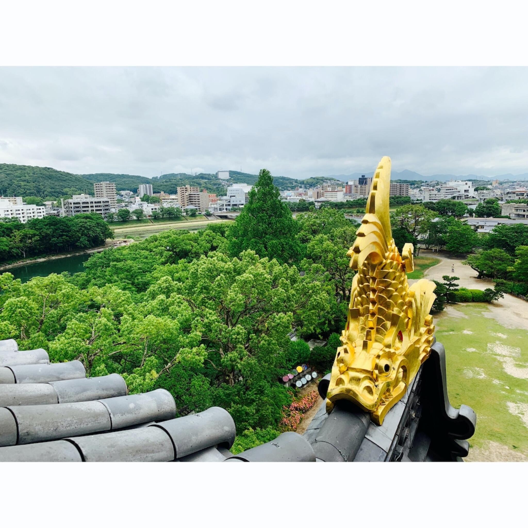 岡山城の代表写真7