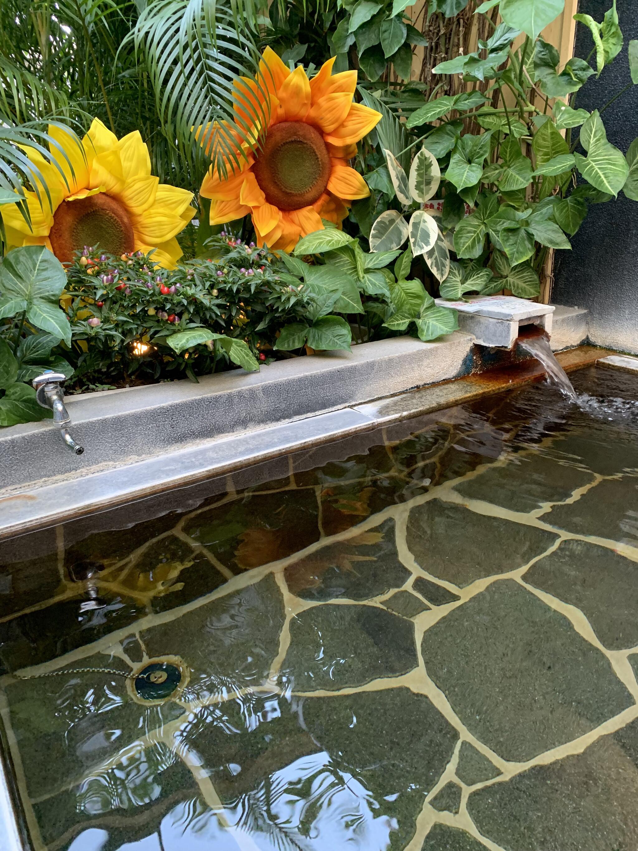 陽だまり温泉 花の湯の代表写真4