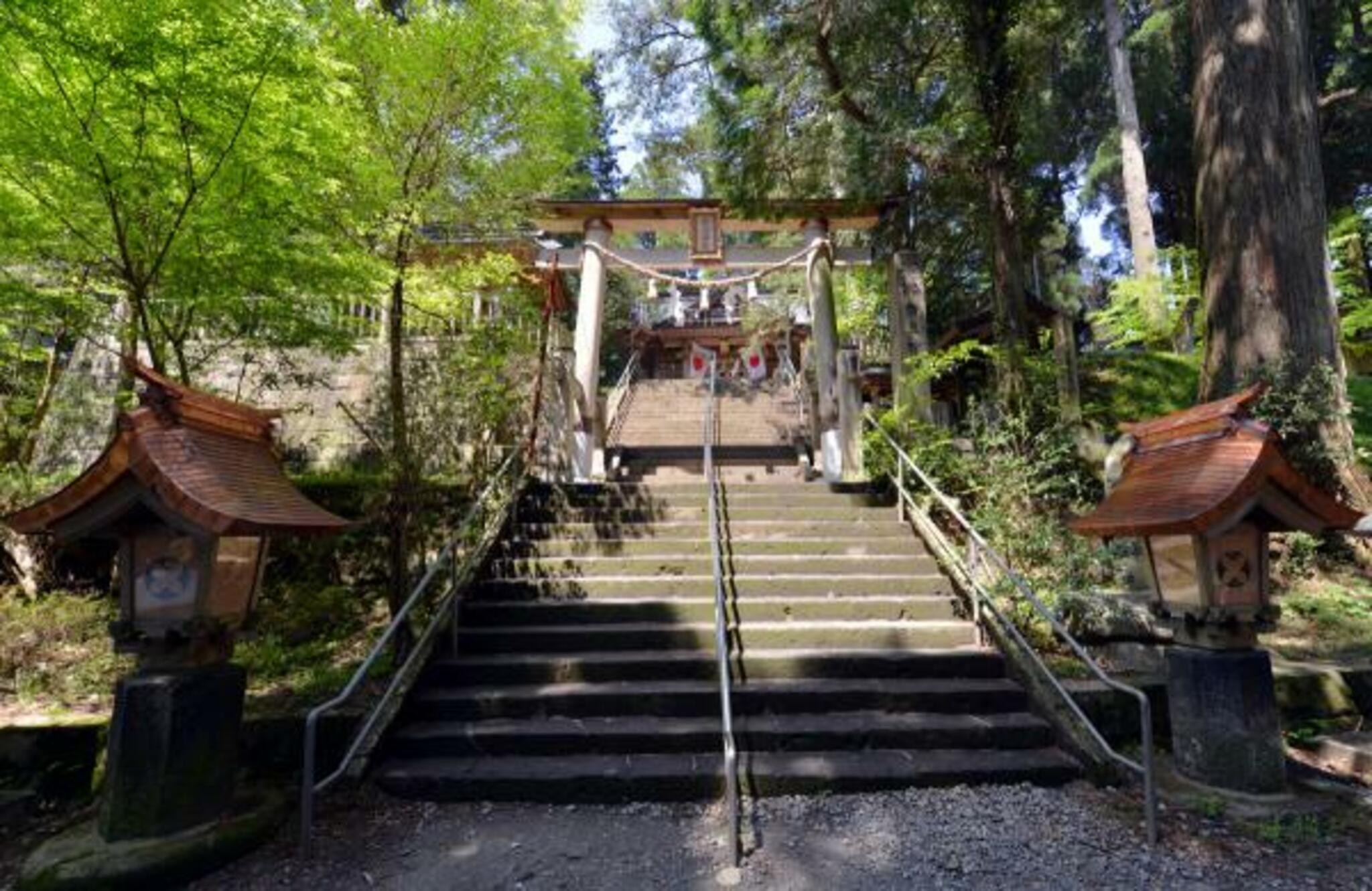 幣立神宮 幣立神社の代表写真7