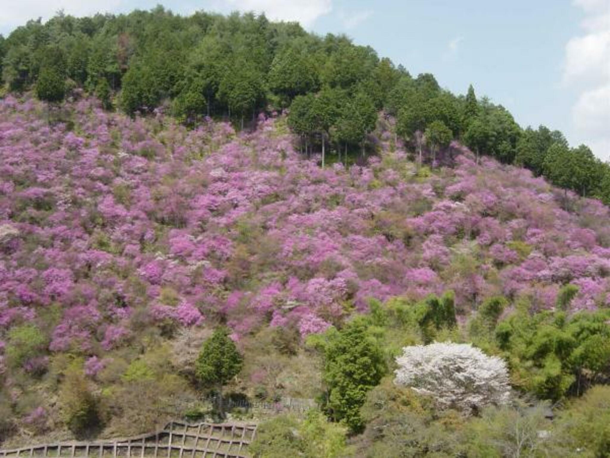 高雄・三尾一帯の代表写真7