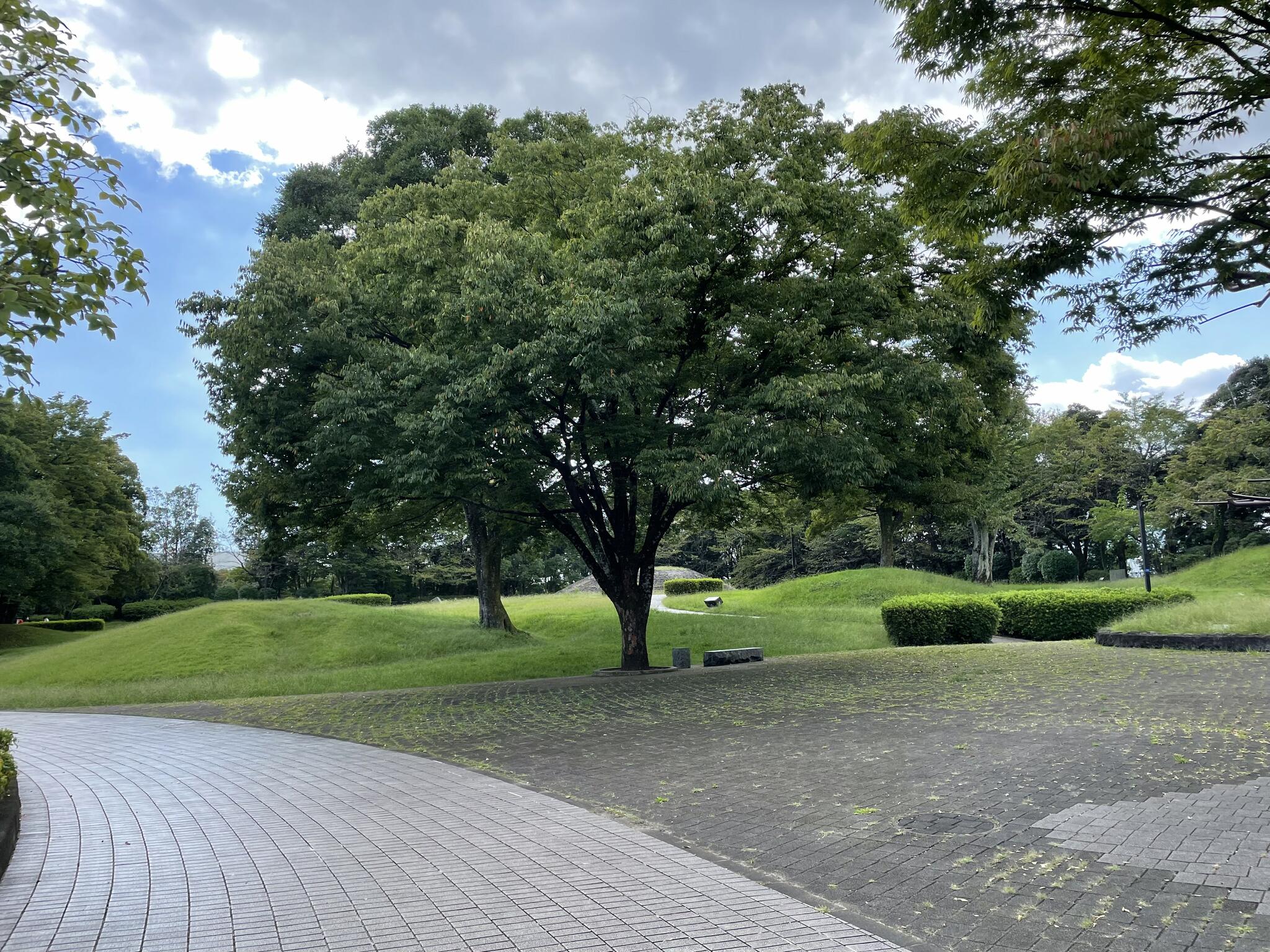 秦野市立はだの歴史博物館の代表写真7