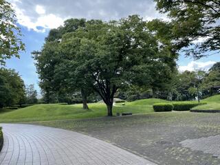 秦野市立はだの歴史博物館のクチコミ写真1