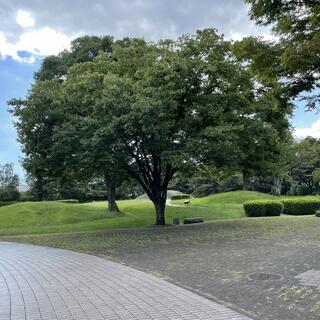 秦野市立はだの歴史博物館の写真7