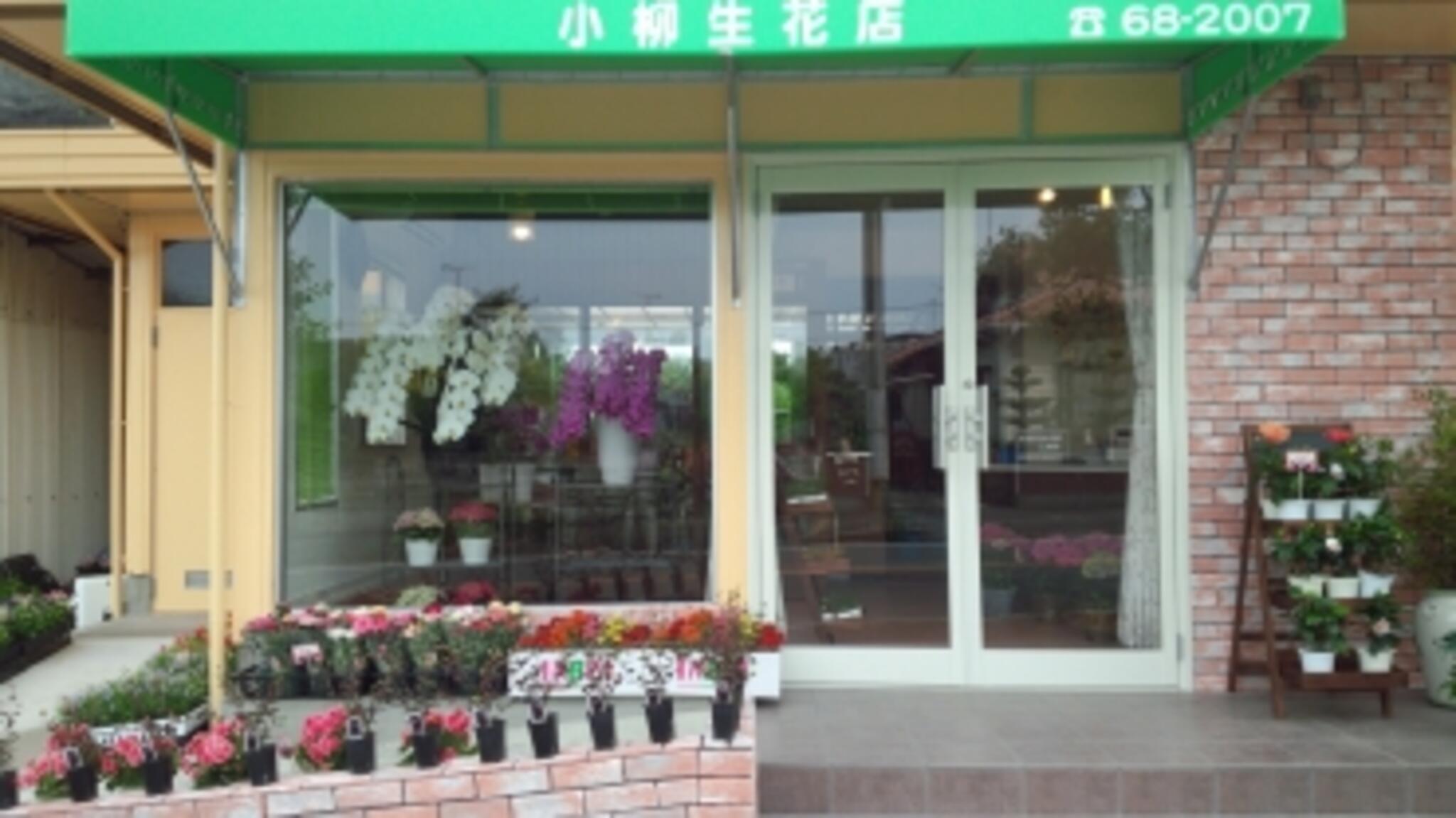 小柳 生花店の代表写真1