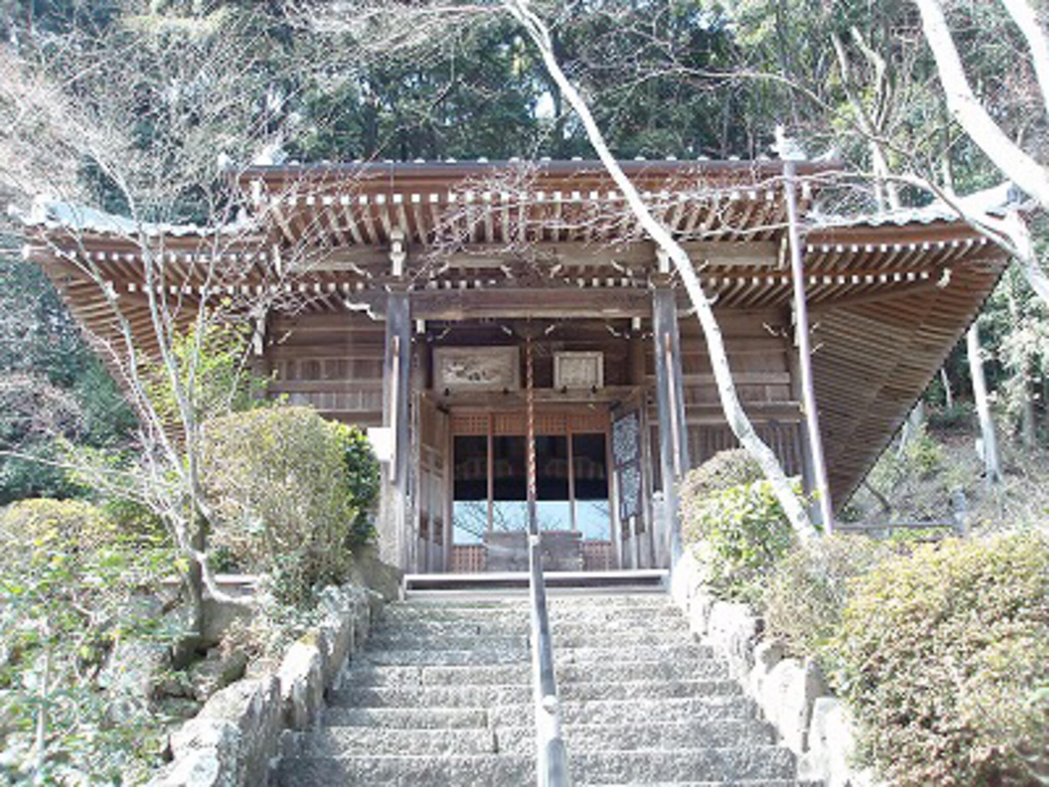 勝持寺の代表写真3