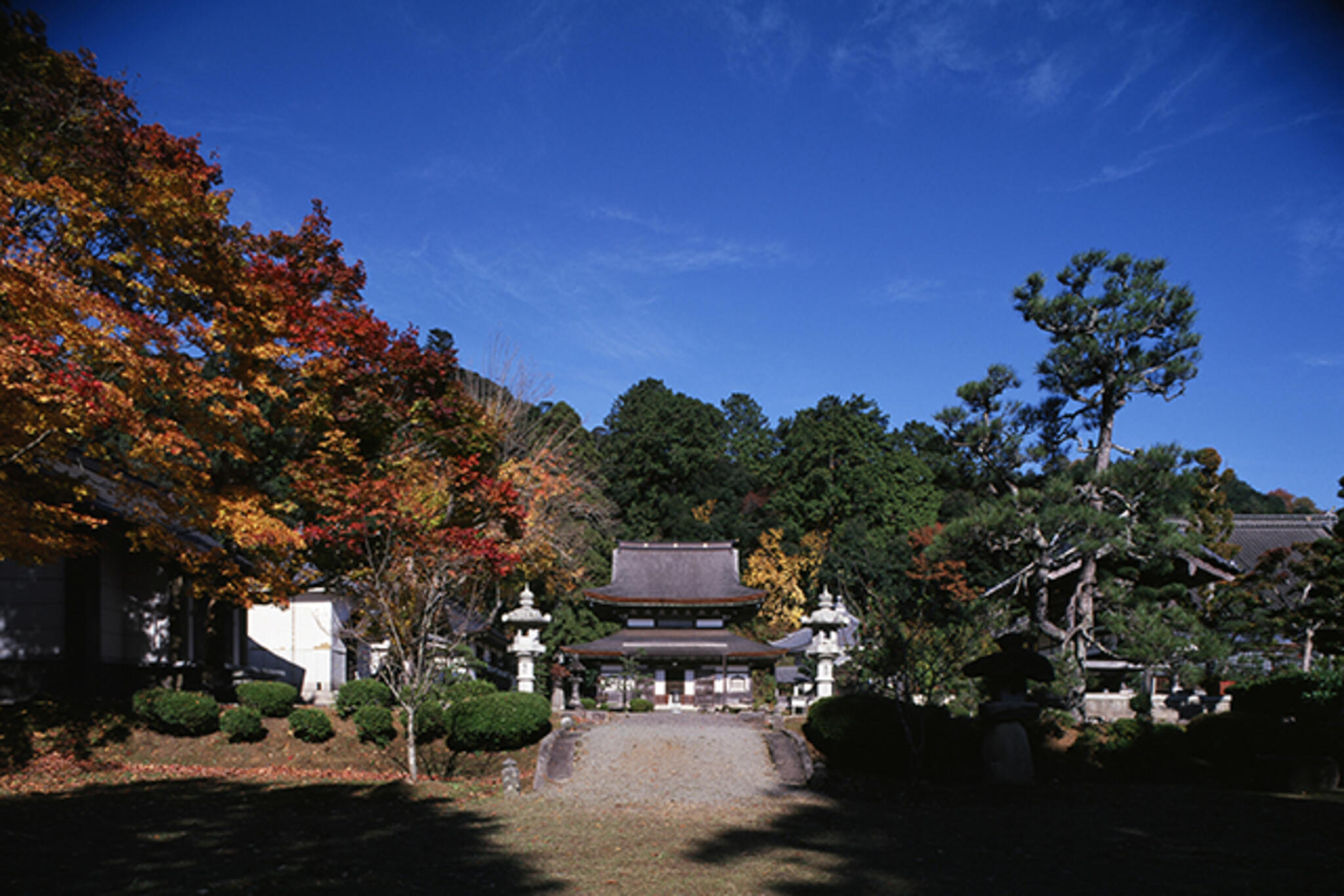 一般社団法人 森の京都地域振興社の代表写真3