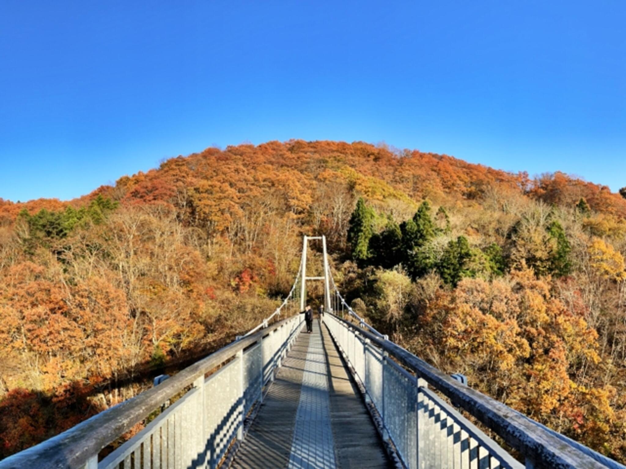 横川渓谷(やまびこ吊り橋)の代表写真2