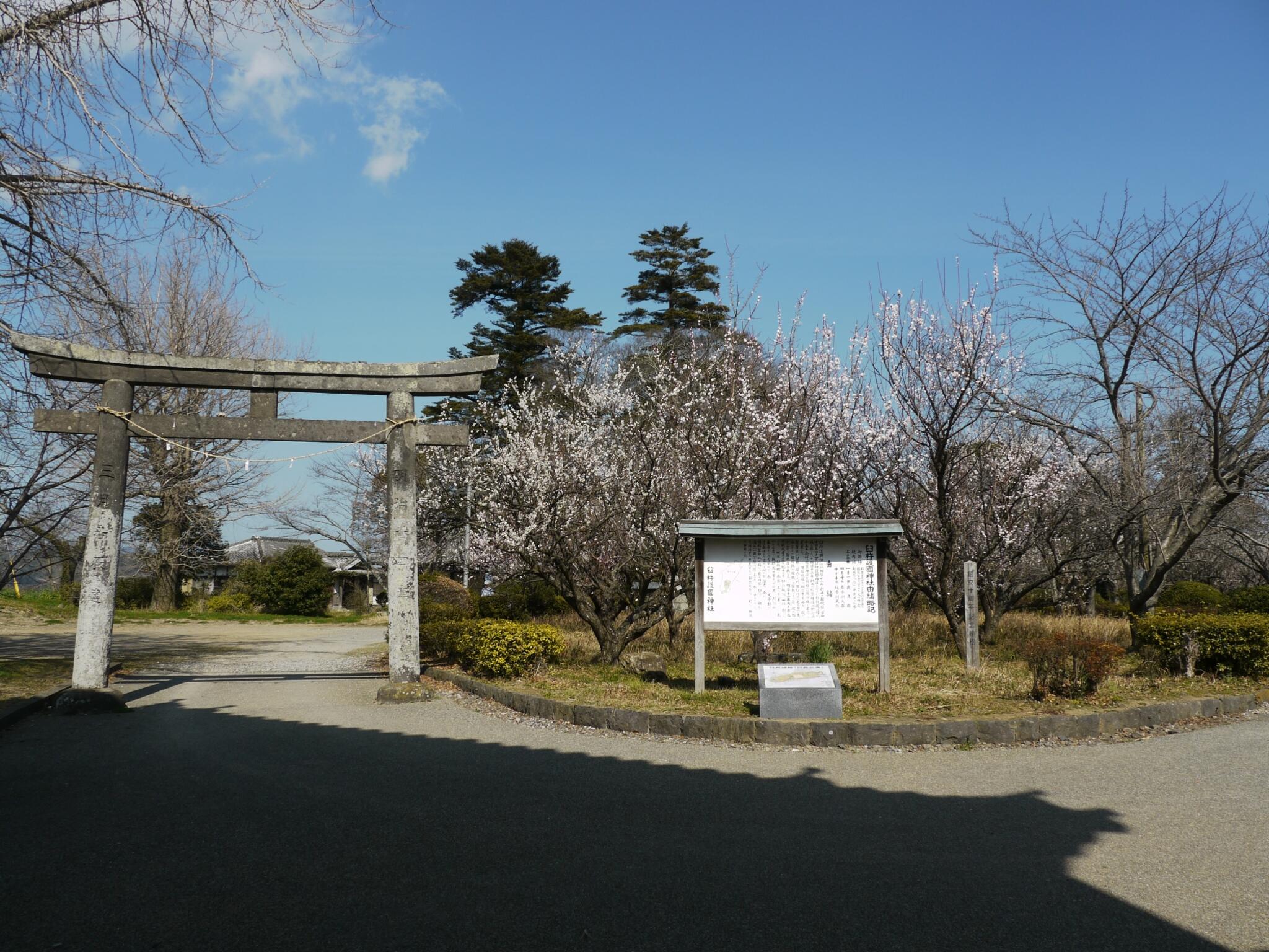 臼杵公園の代表写真4