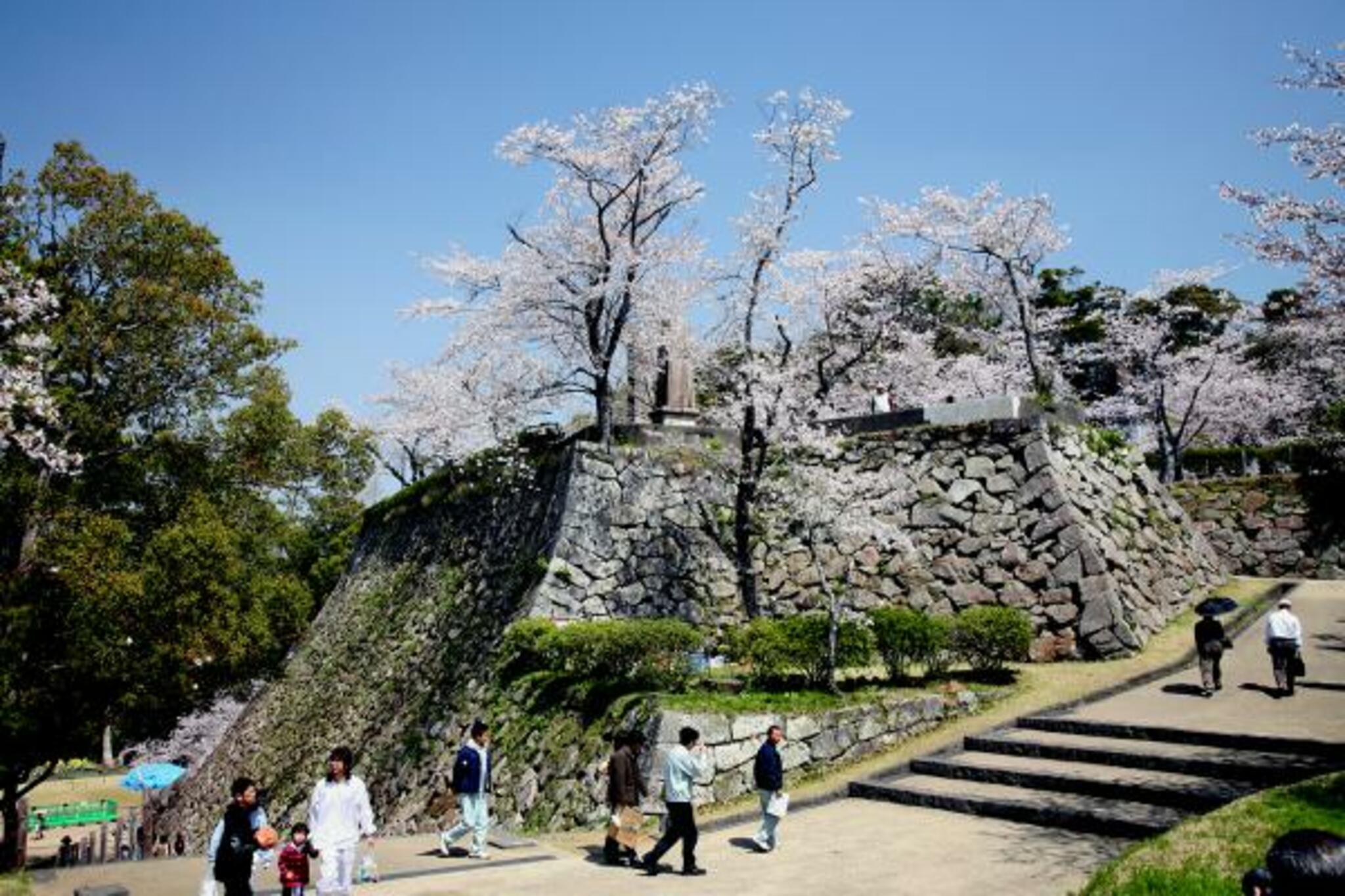 延岡城跡 城山公園の代表写真7