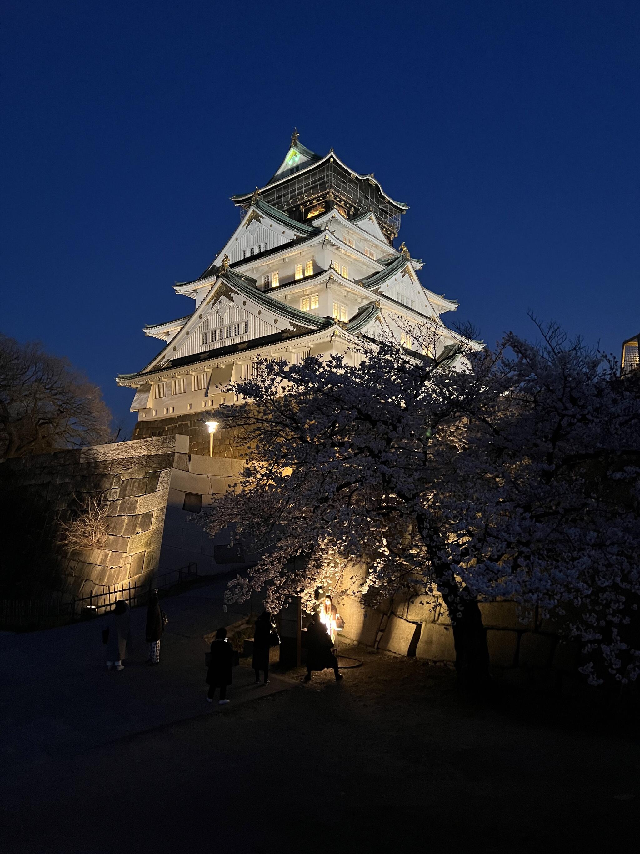 大阪城西の丸庭園の代表写真4