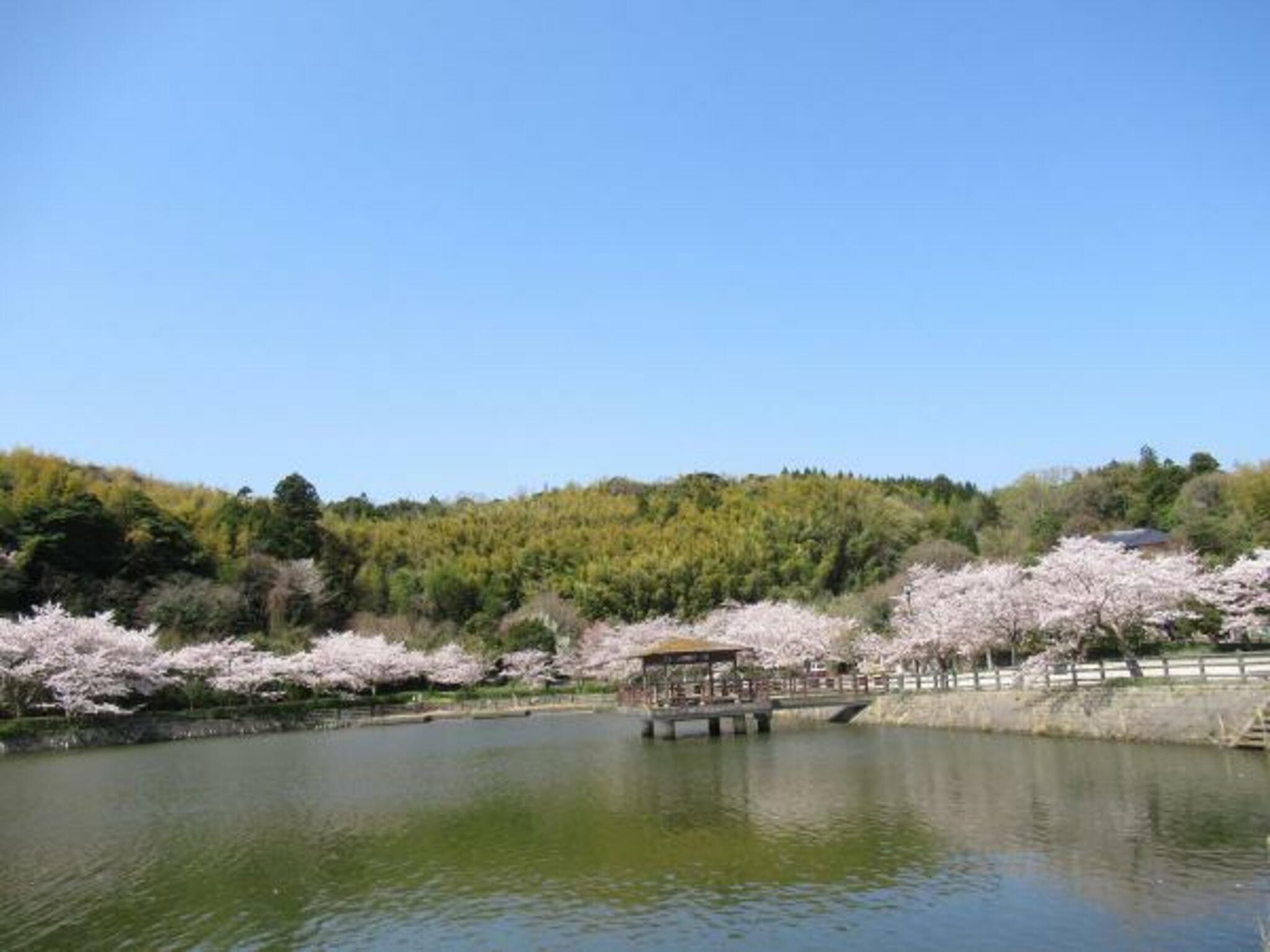 愛宕山公園の代表写真10