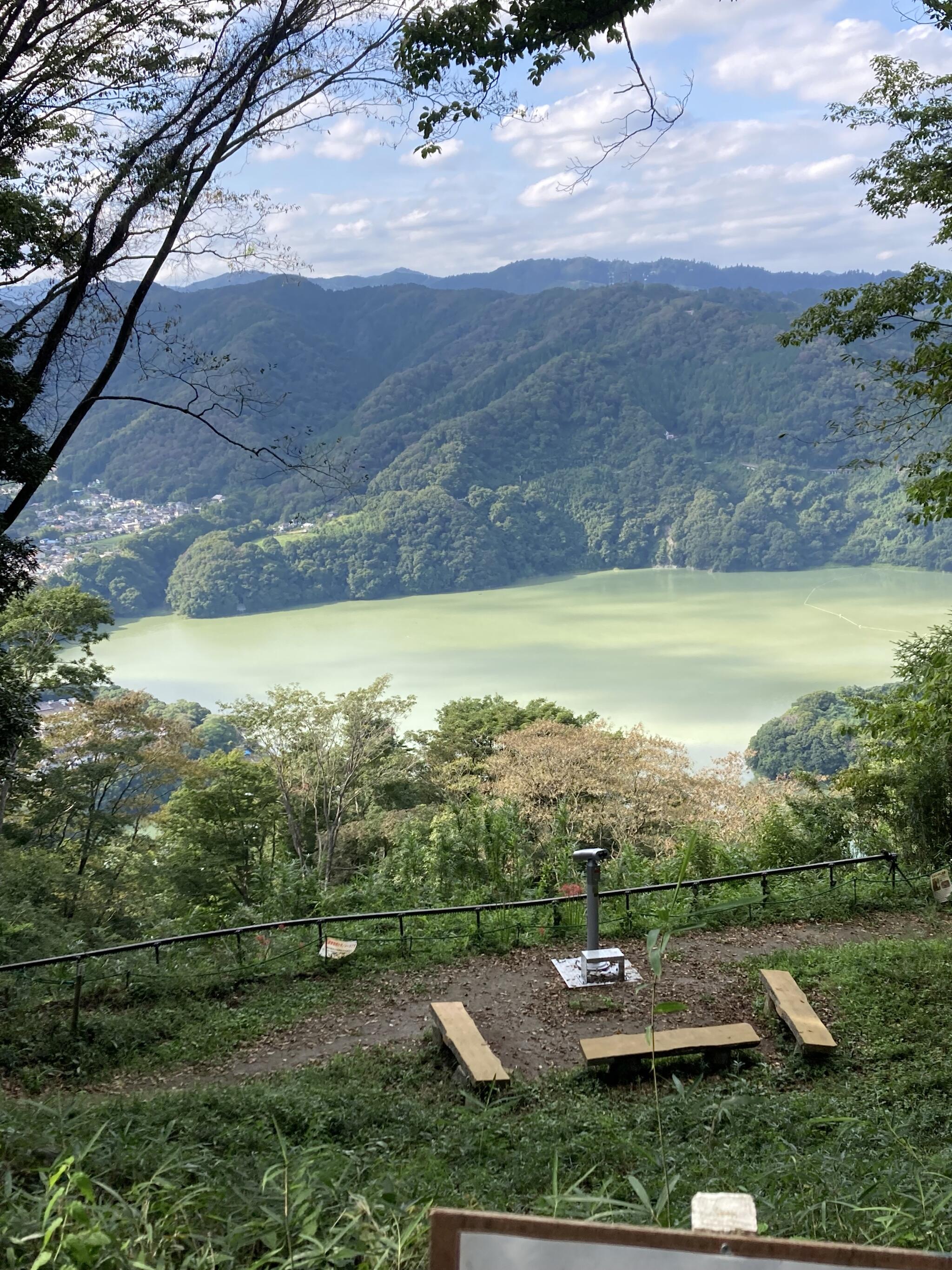 県立津久井湖城山公園の代表写真4