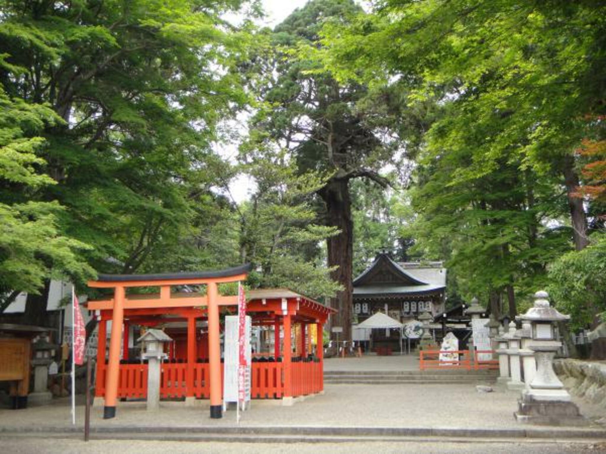 賀茂神社の代表写真4