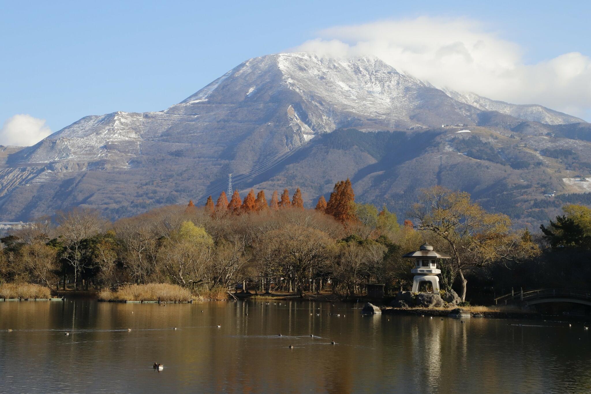 三島池の代表写真4