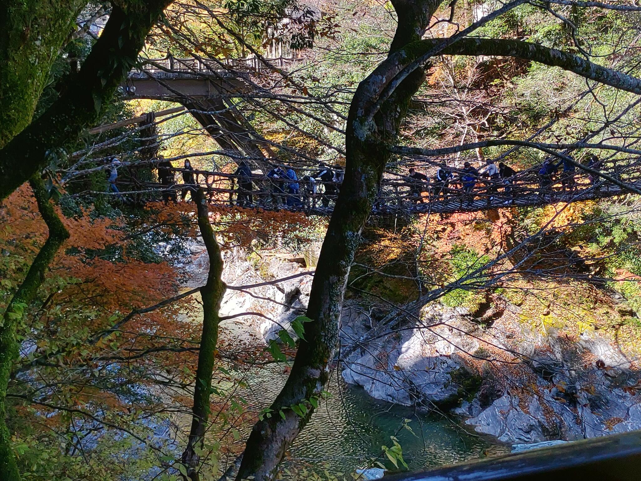 奥祖谷二重かずら橋キャンプ場の代表写真1