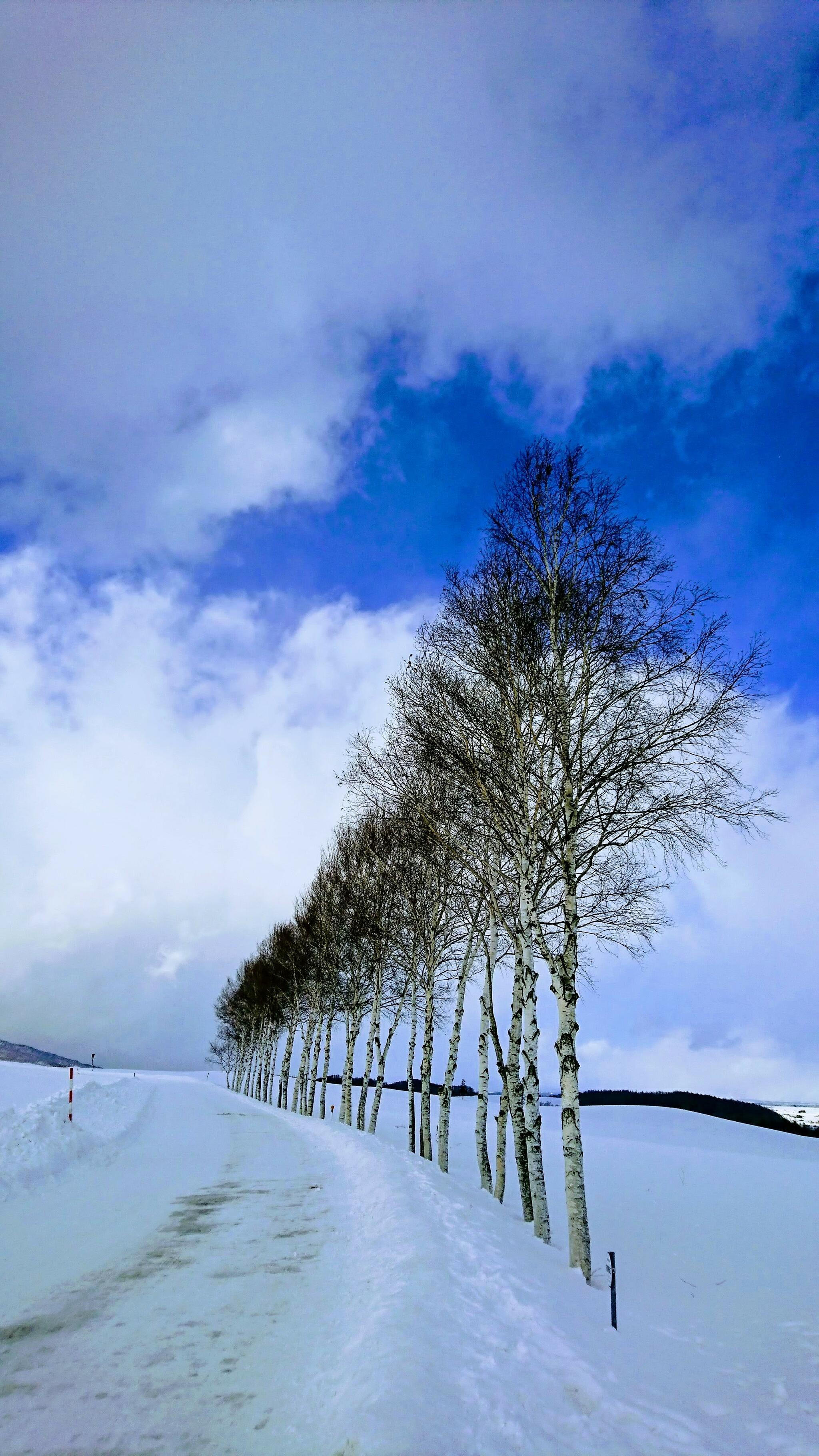 富良野スキー場の代表写真5