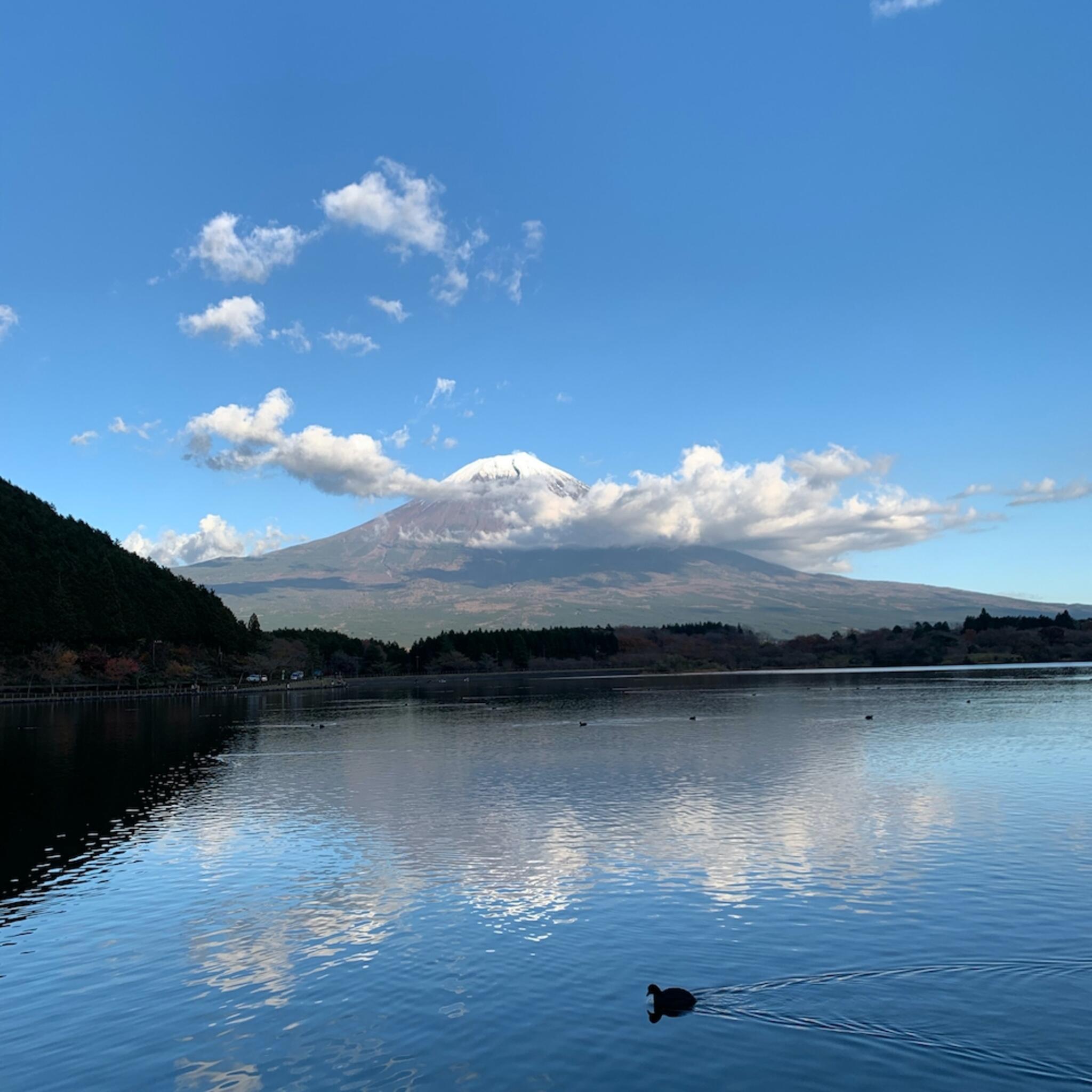 田貫湖の代表写真7