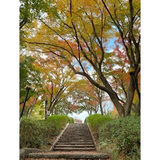 愛知県緑化センター・昭和の森の写真1