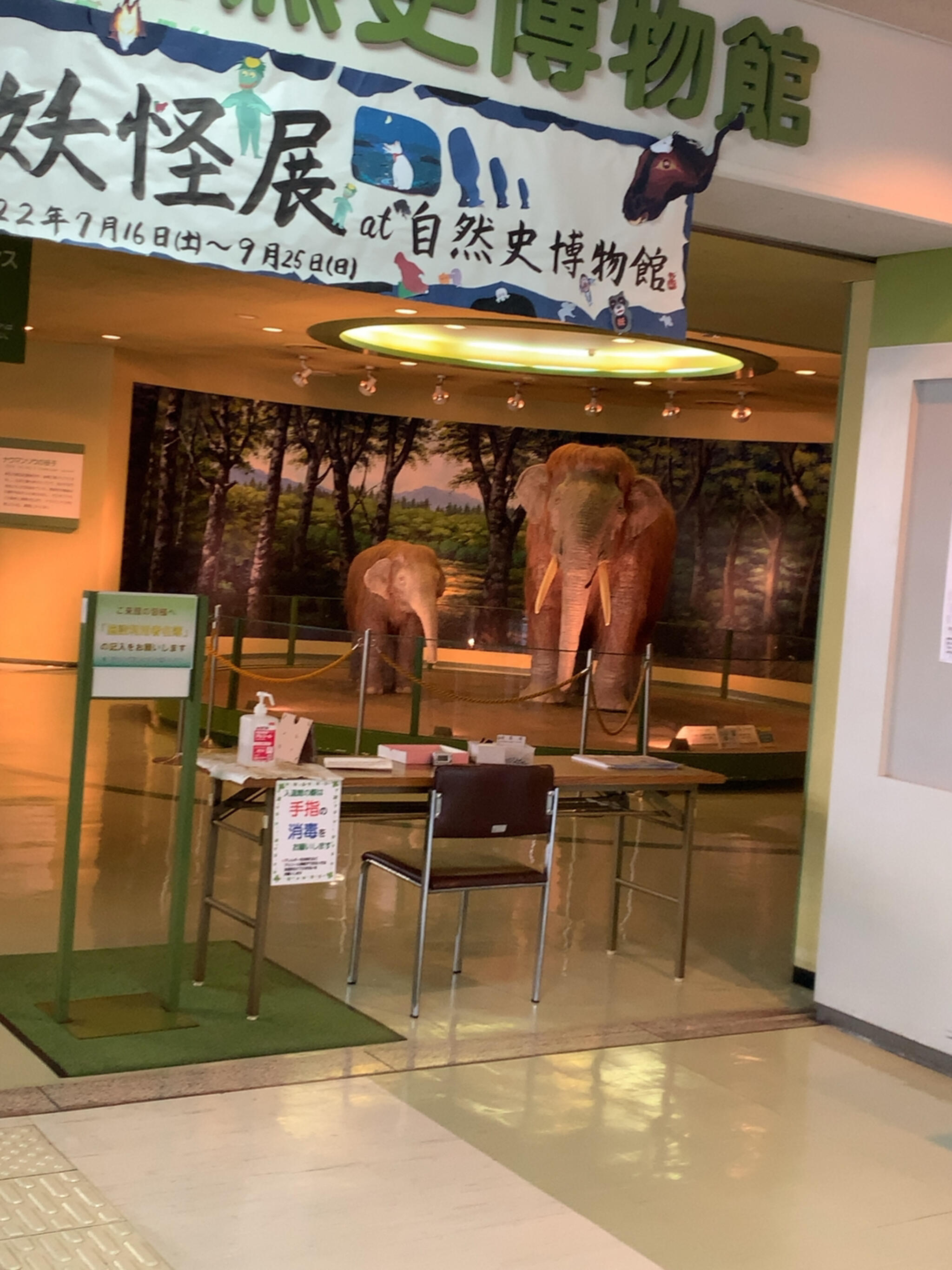 倉敷市立自然史博物館の代表写真7