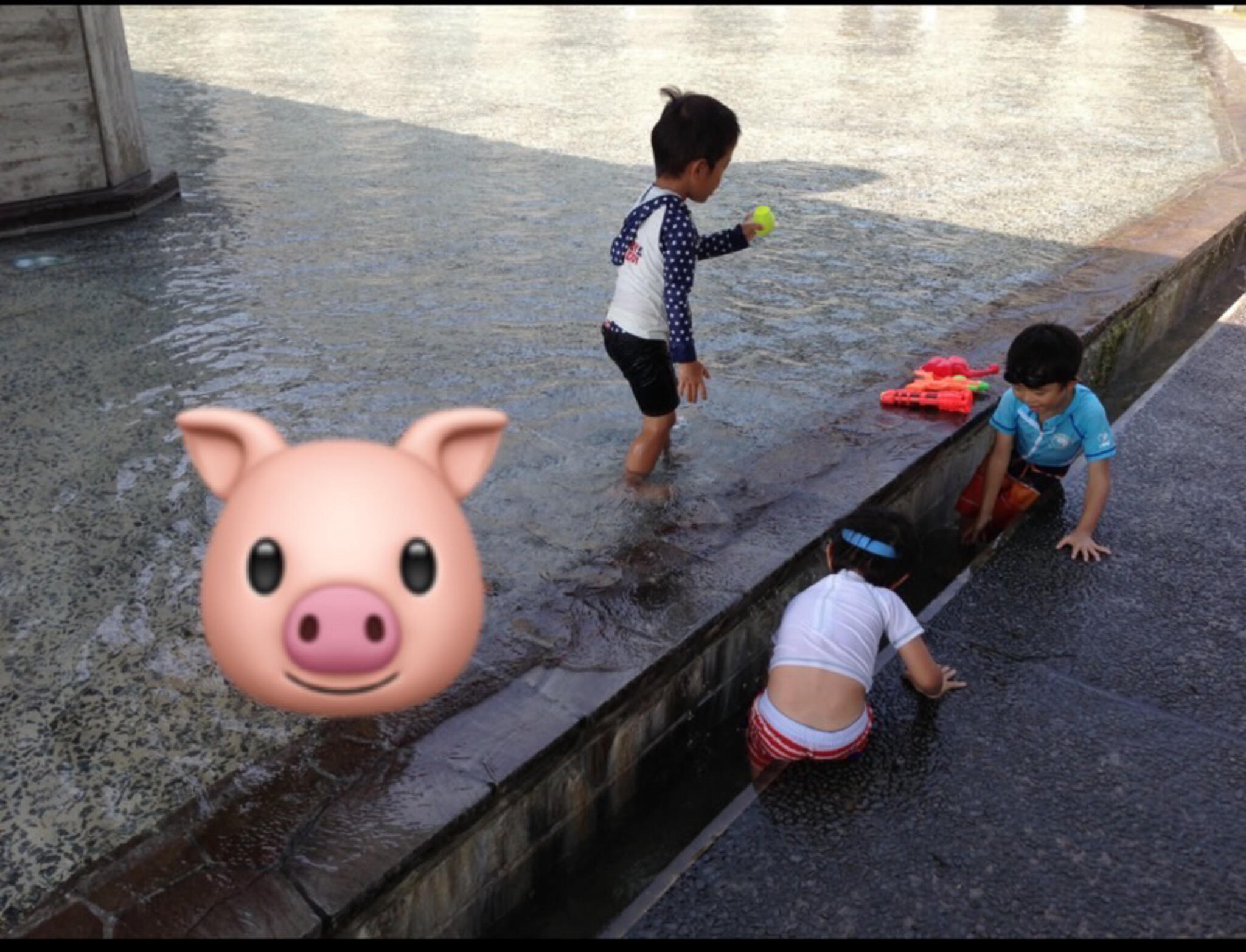 加古川ウェルネスセンターの代表写真2