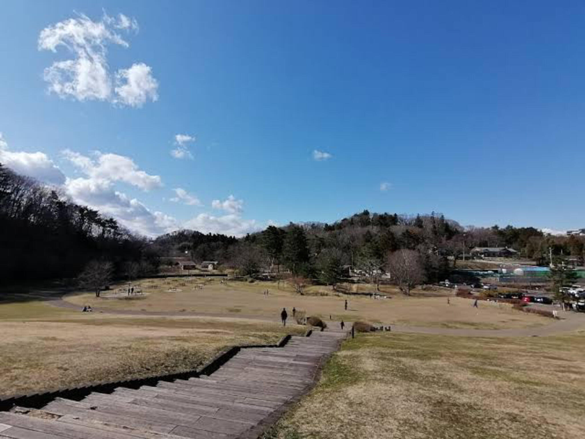 水の森公園キャンプ場の代表写真8