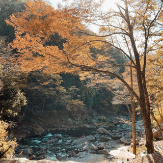 秋川渓谷の写真8