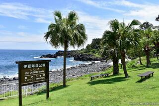 伊豆海洋公園のクチコミ写真1