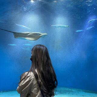 アクアワールド茨城県大洗水族館の写真4