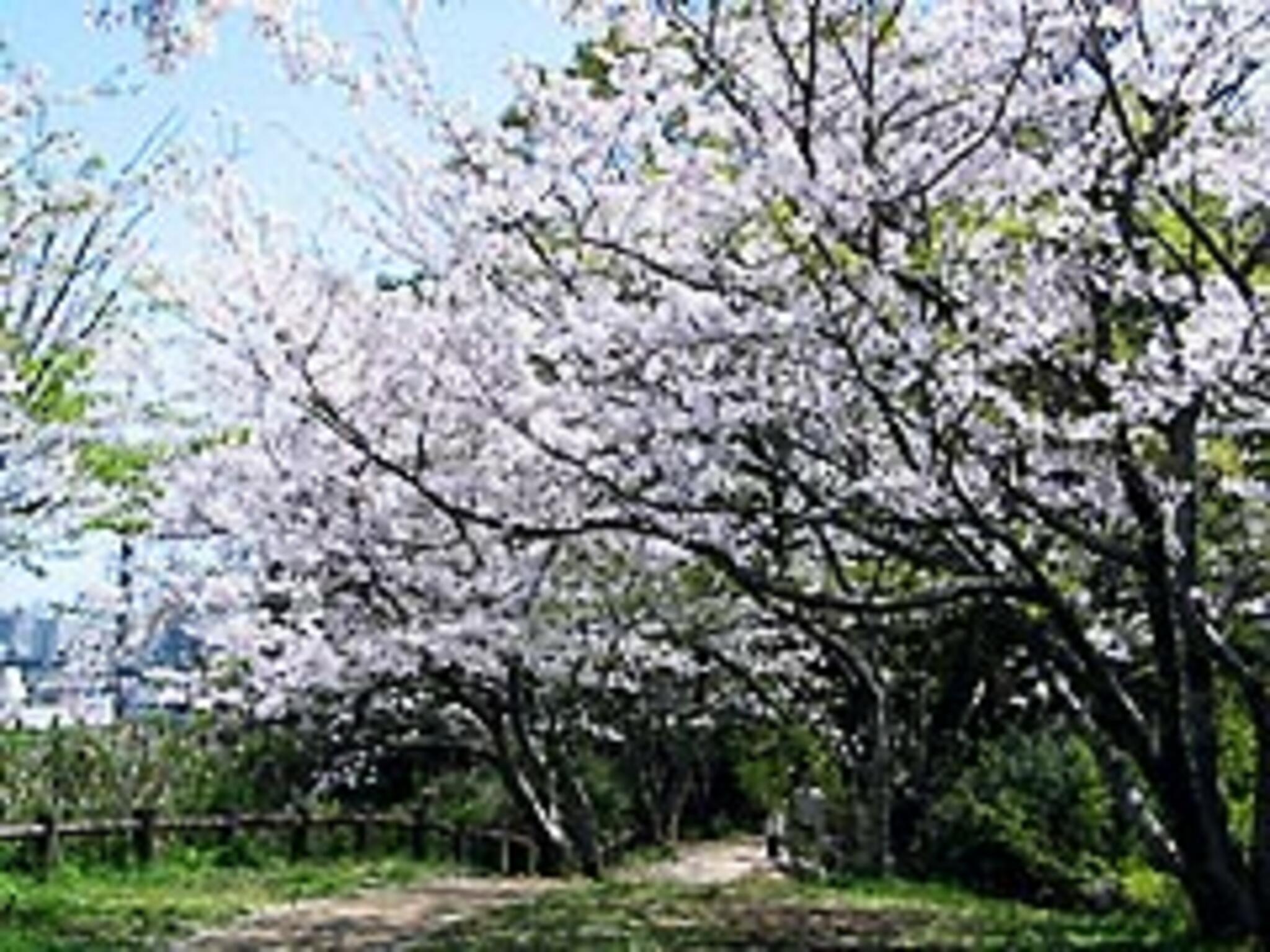 写真 : 天神山公園 - 宮崎市大坪東/公園 | Yahoo!マップ