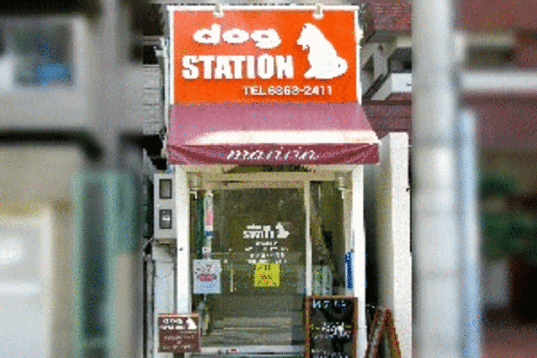 dogSTATIONドッグステーションの代表写真1