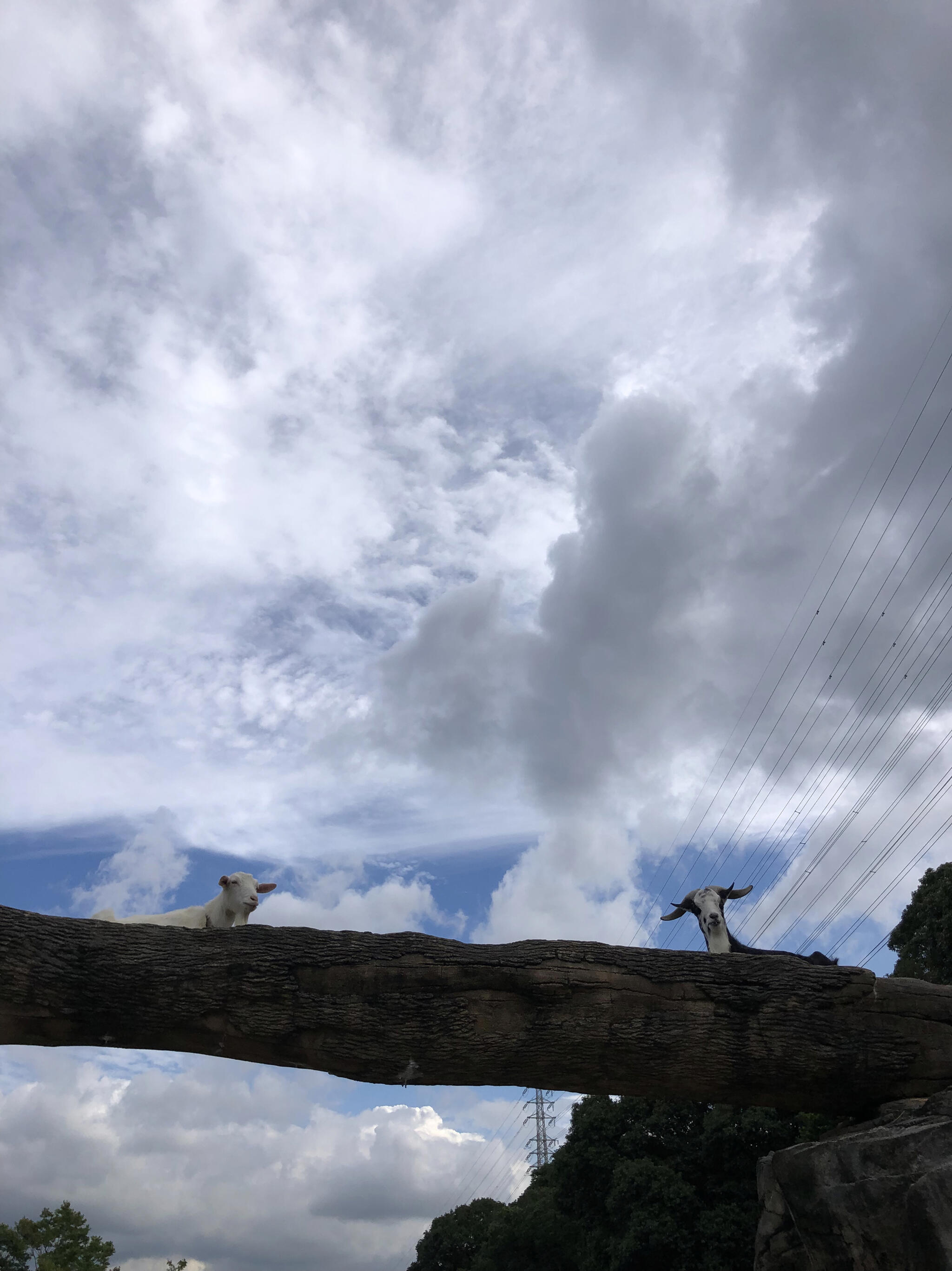 到津の森公園の代表写真9