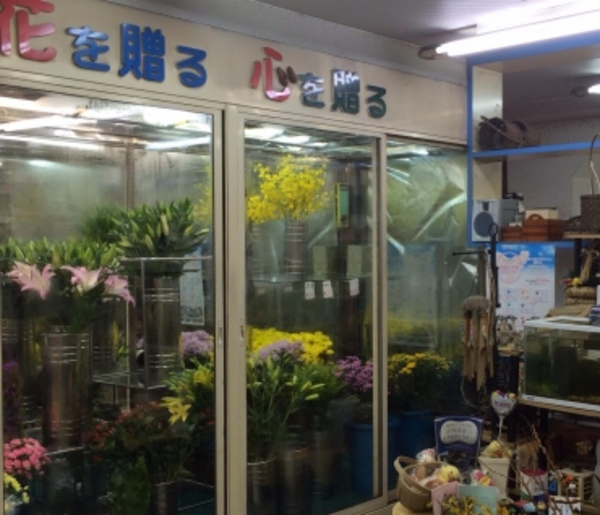 中島生花店の代表写真3