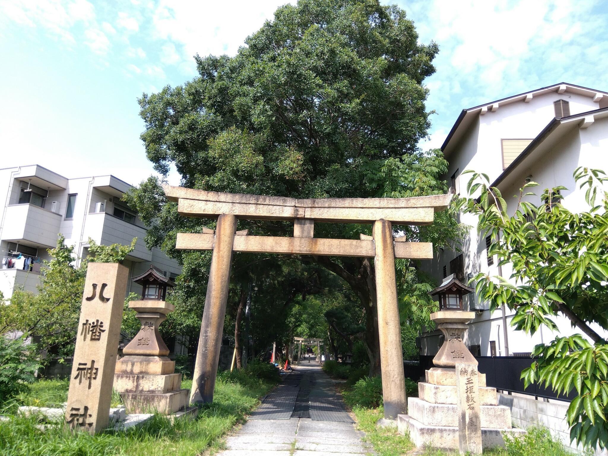 鳴尾八幡神社の代表写真4