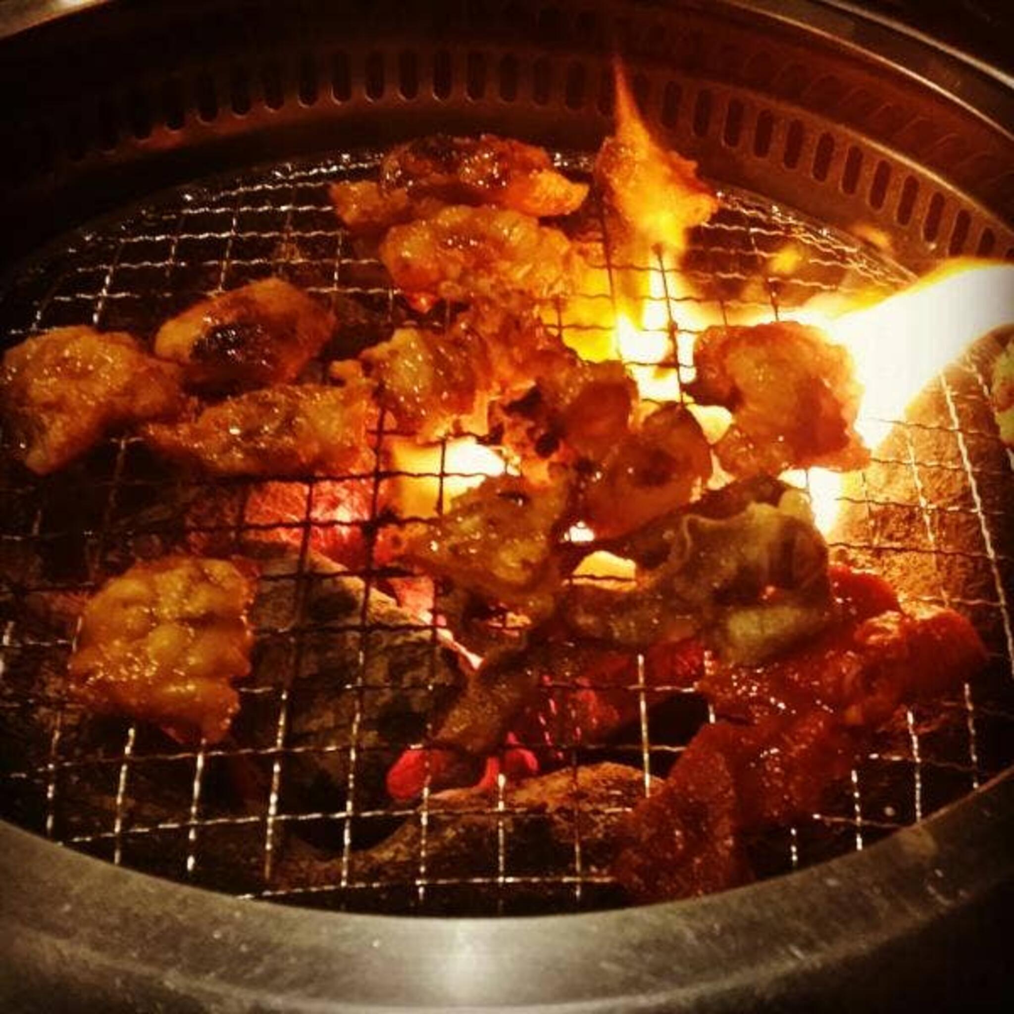 ホルモン焼き食堂 木下 横川本店の代表写真7