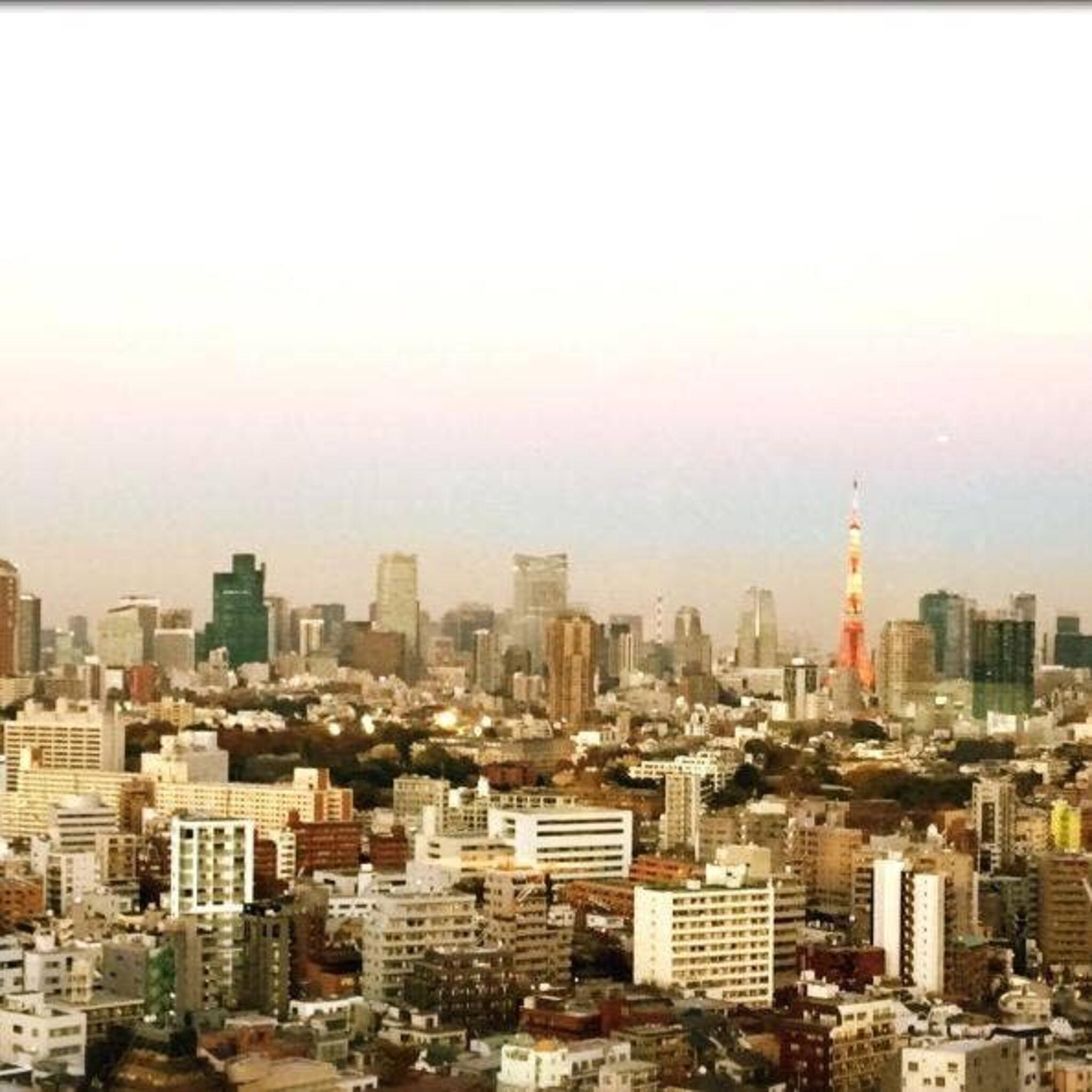 コンパスローズ/ウェスティンホテル東京の代表写真2