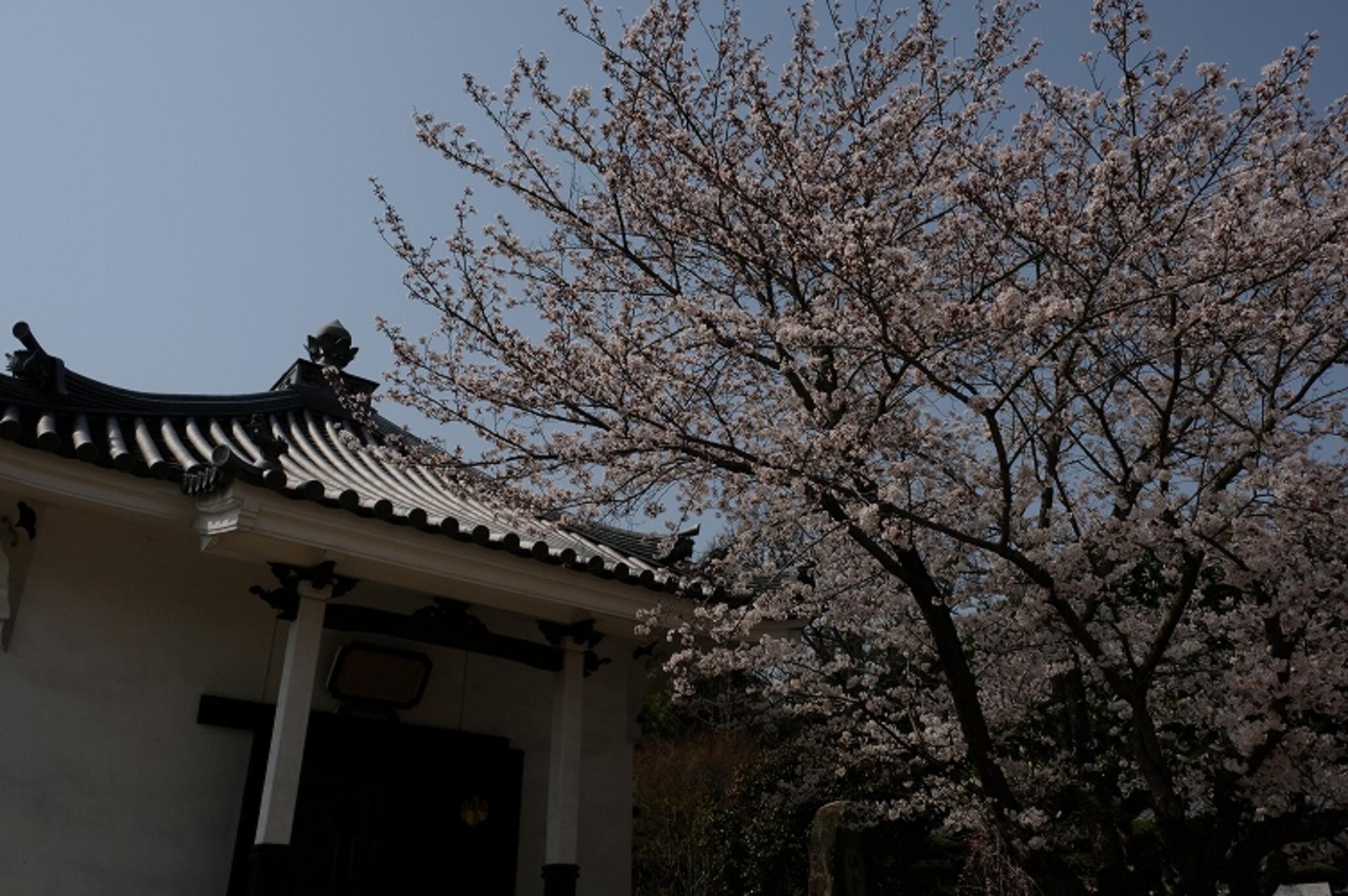 大東坊 - 福山市金江町藁江/寺院 | Yahoo!マップ