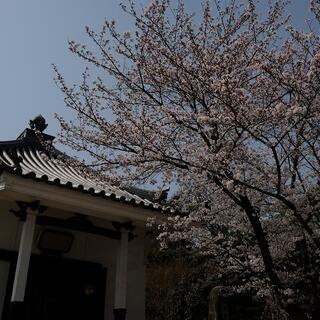 大東坊 - 福山市金江町藁江/寺院 | Yahoo!マップ