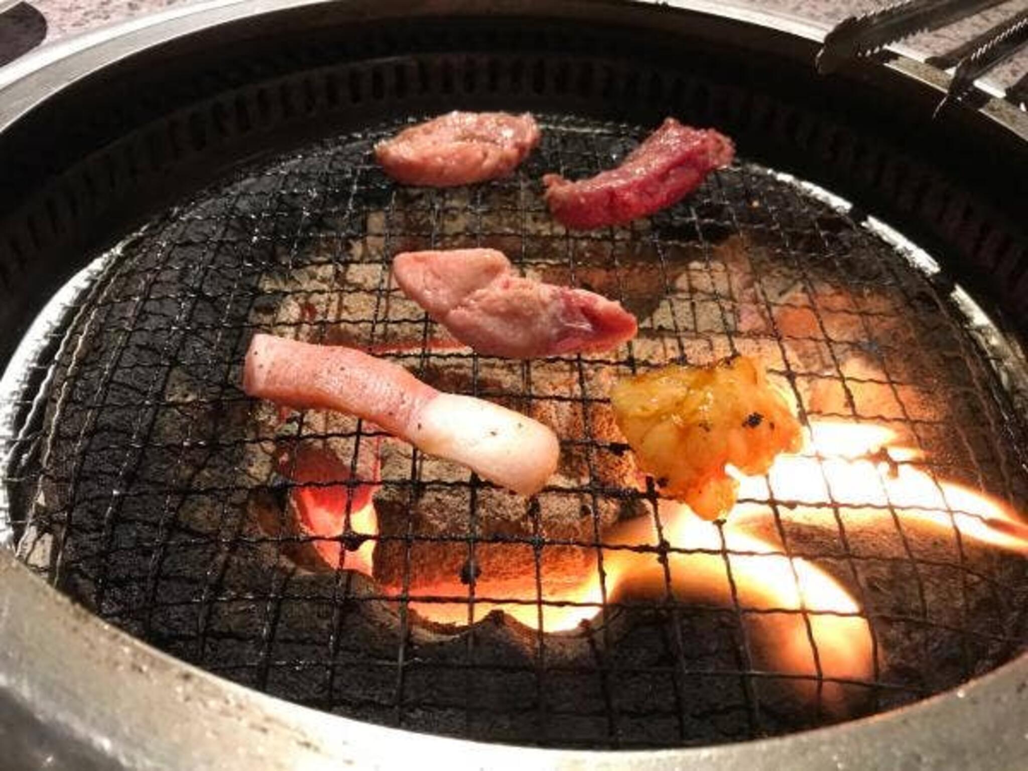 ホルモン焼き食堂 木下 横川本店の代表写真1