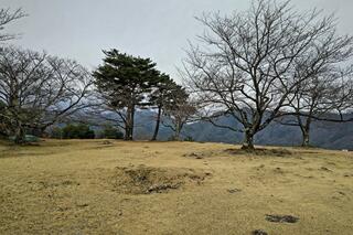 竹田城跡のクチコミ写真3