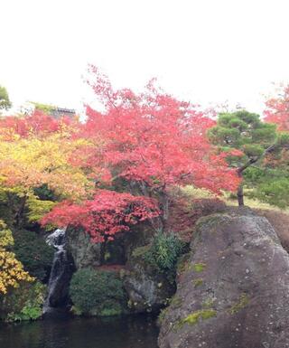 箱根強羅公園のクチコミ写真3