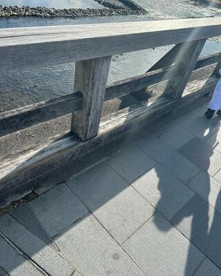 渡月橋のクチコミ写真3