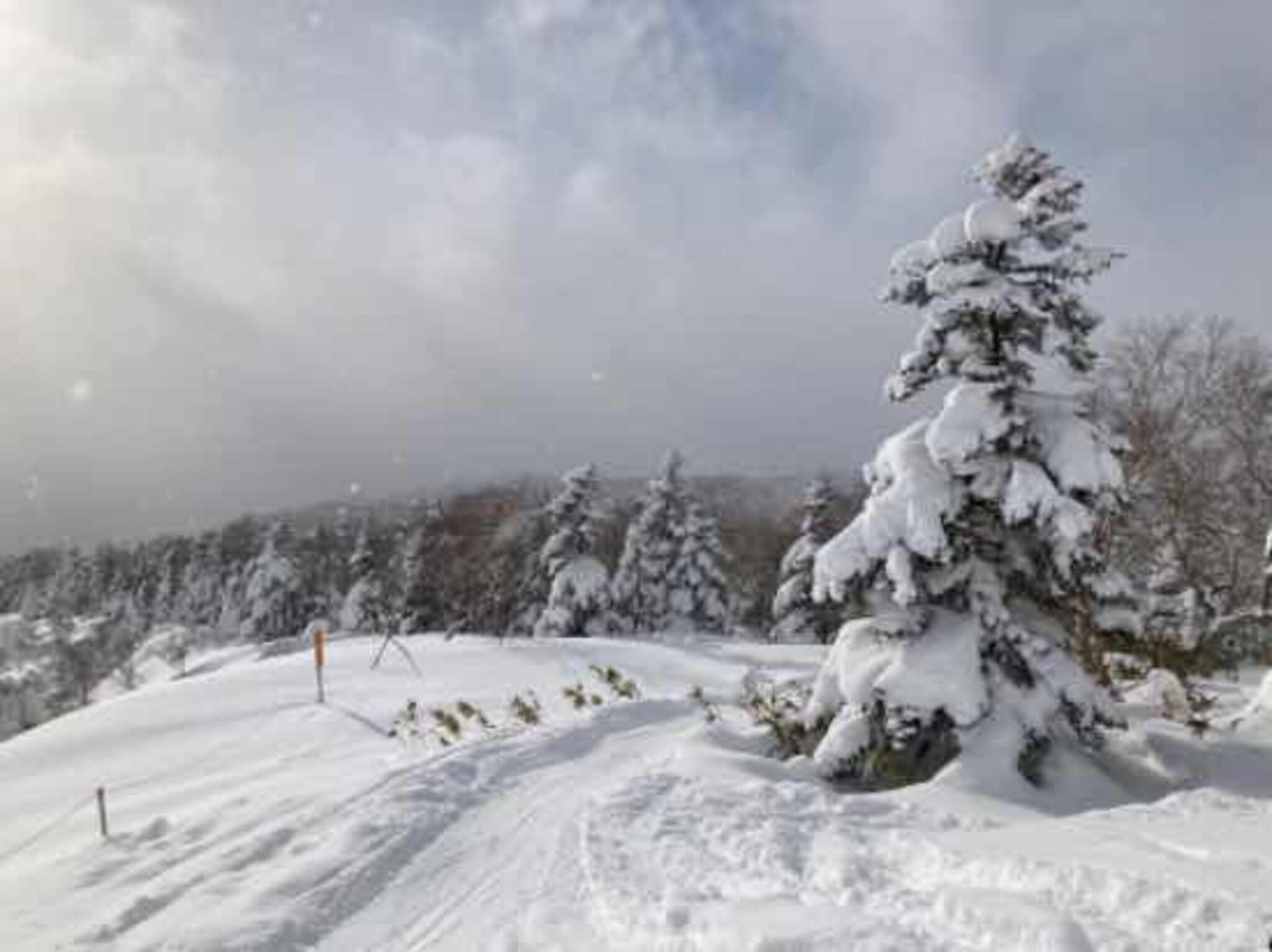 網張温泉スキー場の代表写真10
