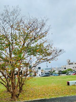 屋宜原西公園のクチコミ写真4