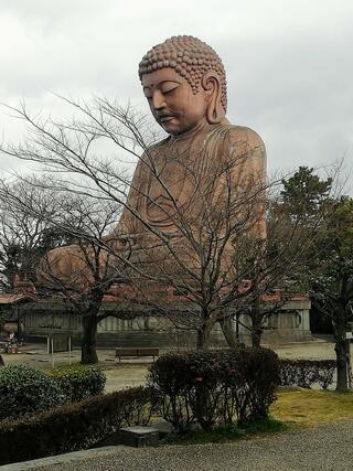 聚楽園大仏のクチコミ写真2