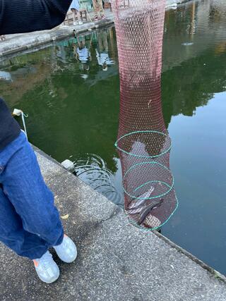 養老渓谷釣堀センターのクチコミ写真1